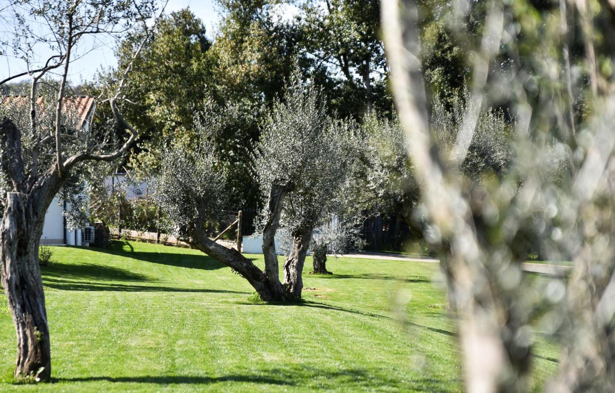 Vigna Caio Relais & Spa (Adults Only) Брачано Екстериор снимка